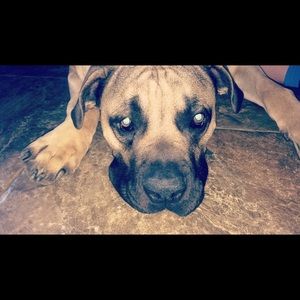 Meet your Posher, Jessica